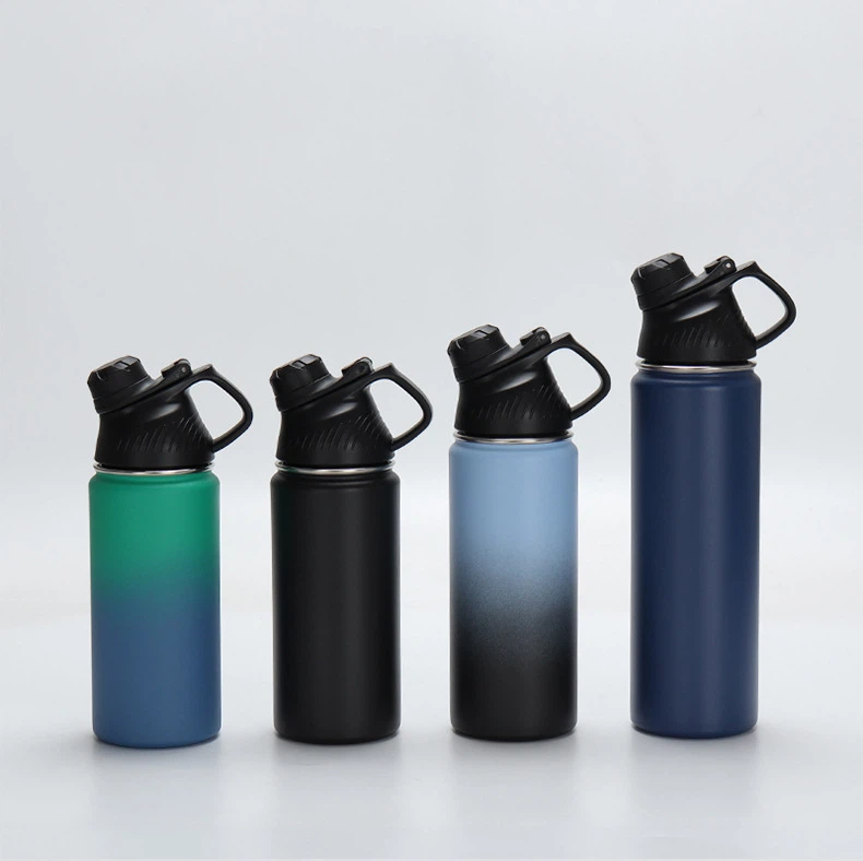 Stainless Steel Double Wall Insulated Water Bottle